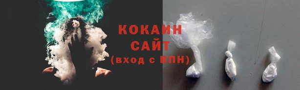 каннабис Каменногорск