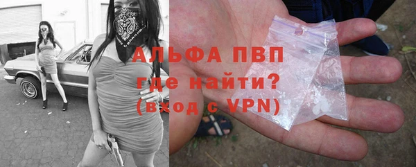 Альфа ПВП Каменка